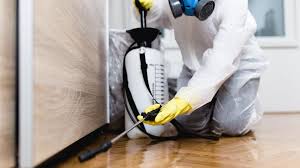 Professional Pest control in Thiells, NY