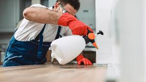 Best Pest Control for Multi-Family Homes  in Thiells, NY